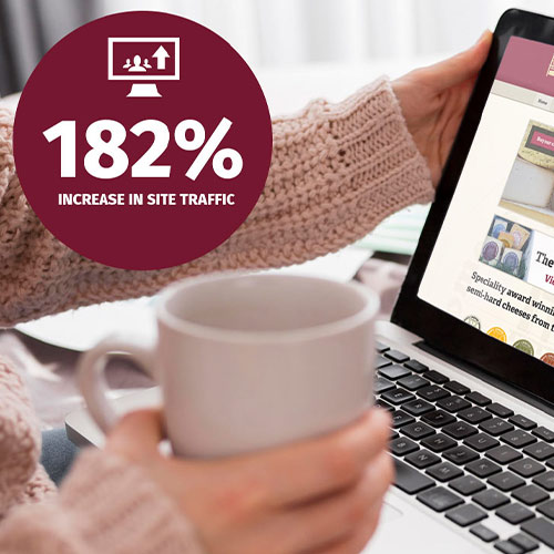 There was a 182% increase in site traffic since we redesigned and rebuilt this ecommerce business website.