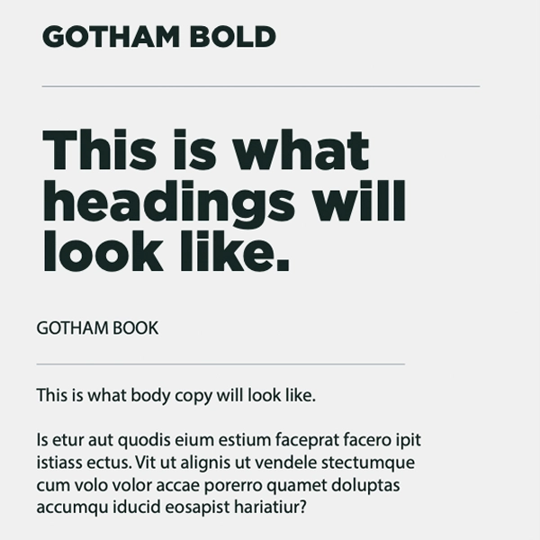 Coyne & Associates typography